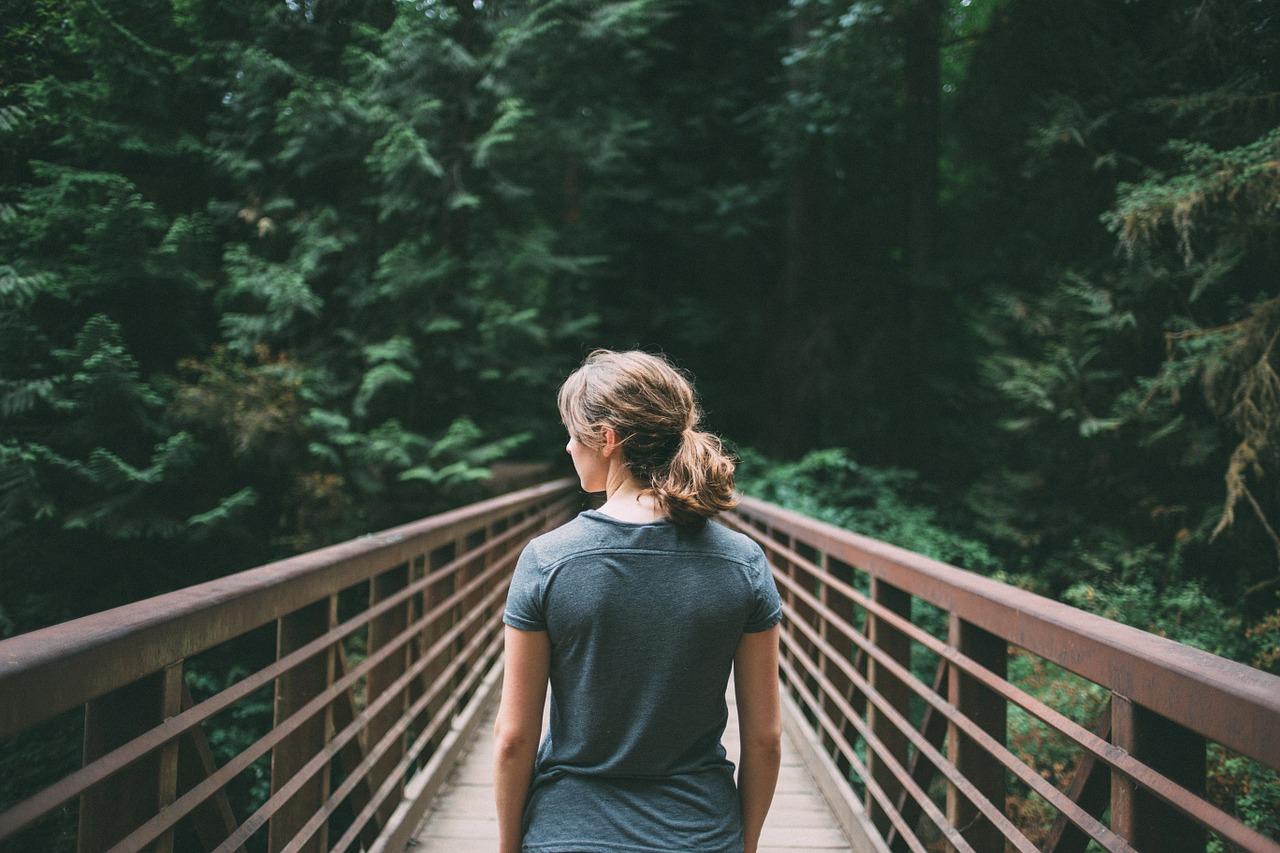 Bridging the Gap