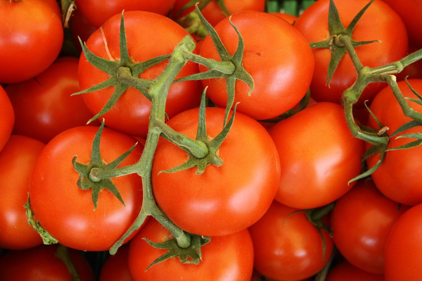 Where food grows, bugs go