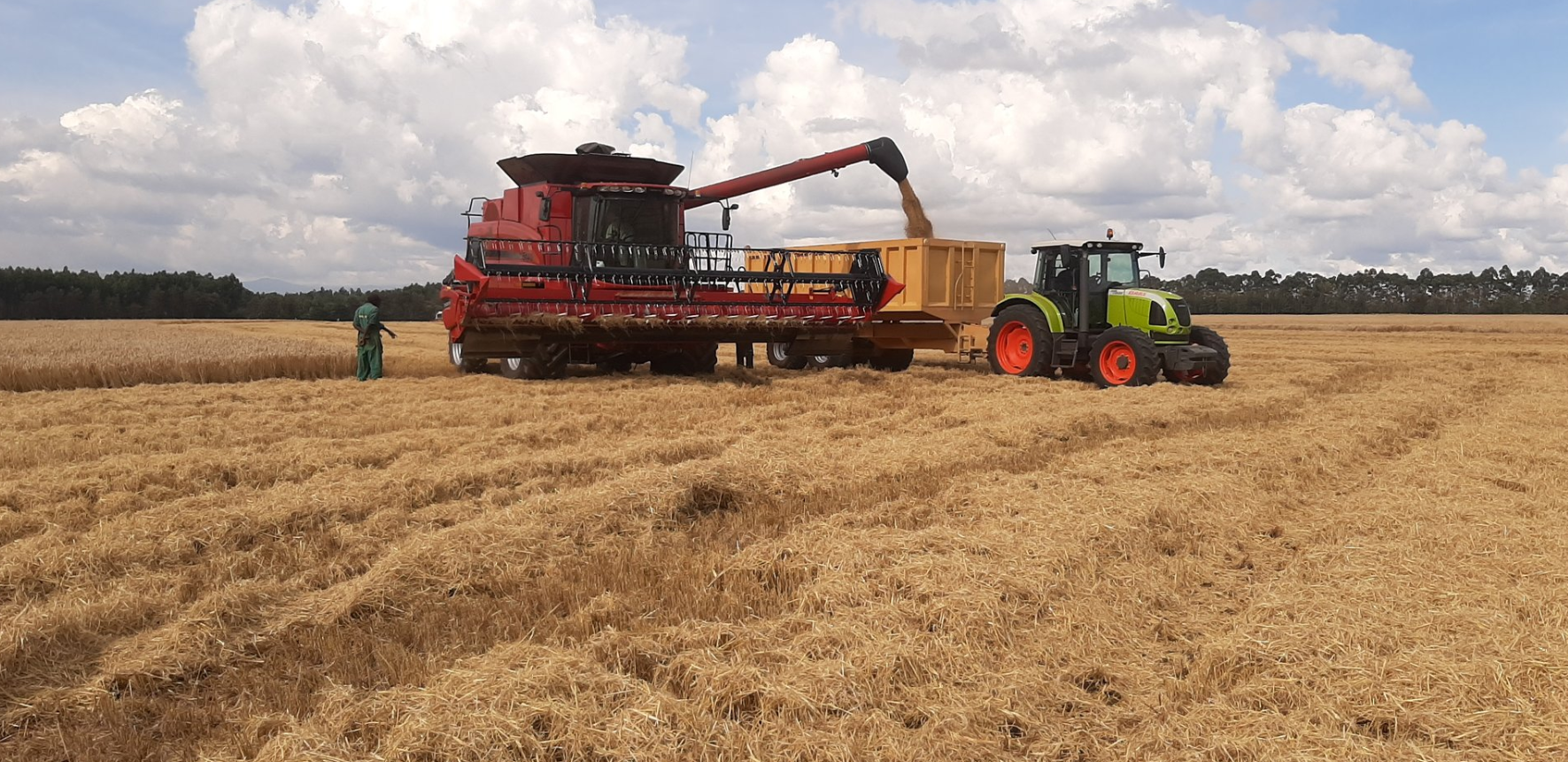 Access to More Trade Could Mean Access to New Technologies for Kenya’s Farmers