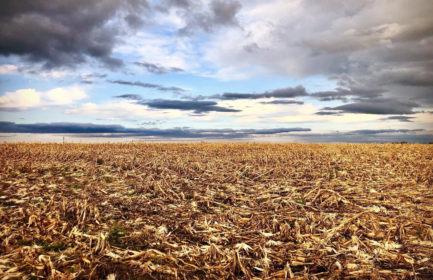 Uruguay Farm Tour-Soybeans