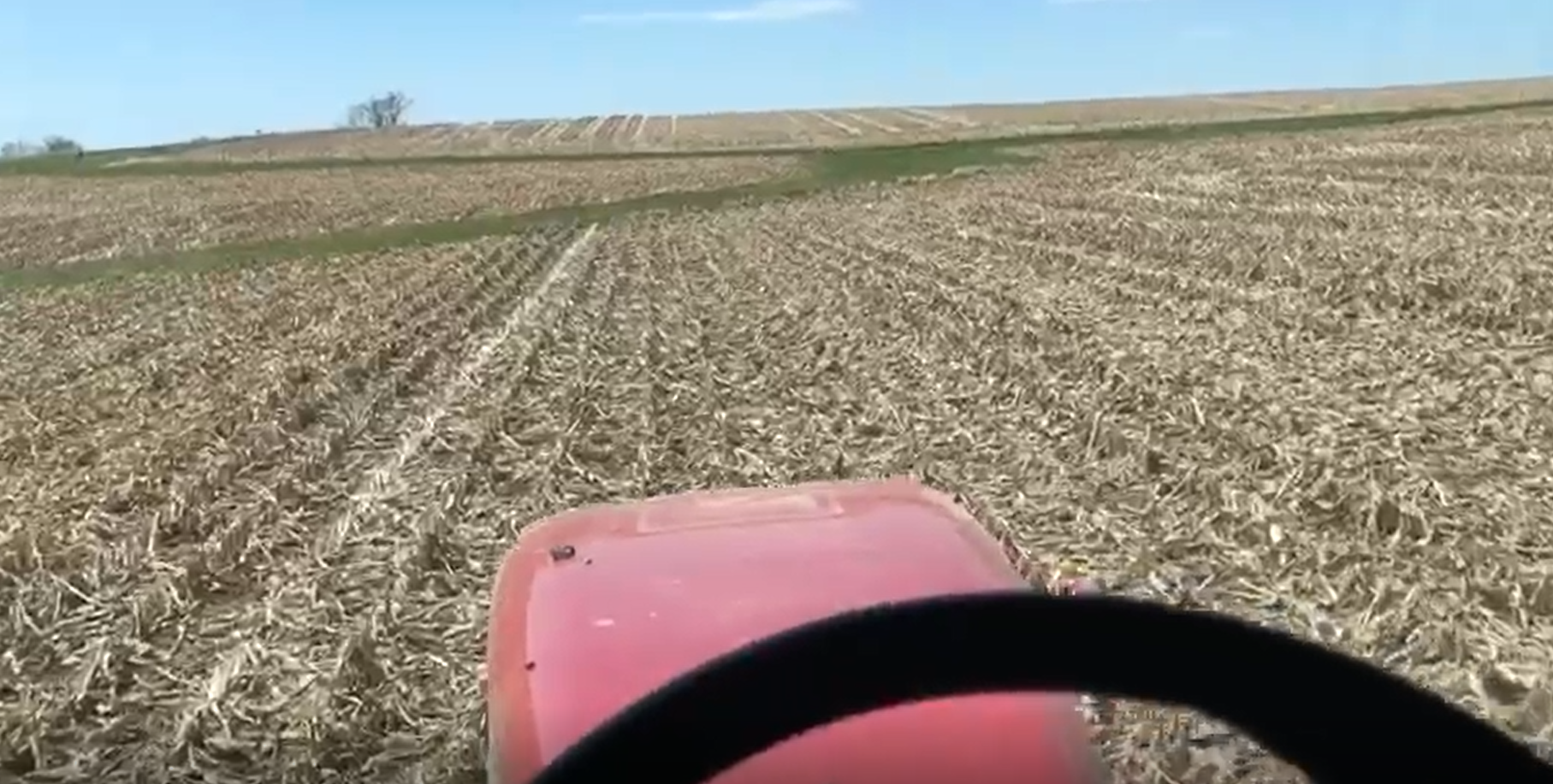 USA Farm Tour-Soybeans