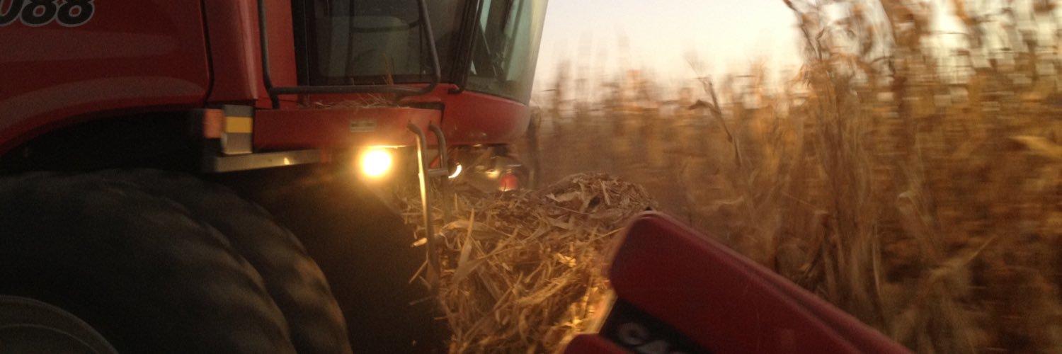 USA Farm Tour-Cover Crops