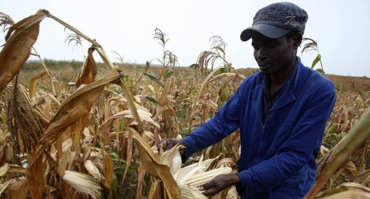Bettering Farms in Zimbabwe...and Beyond