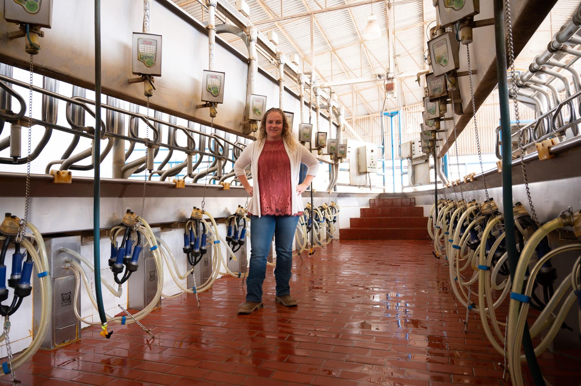 Life on a Dairy