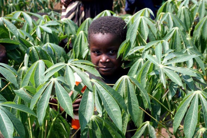 A Technology Win in the Fight For Food Security