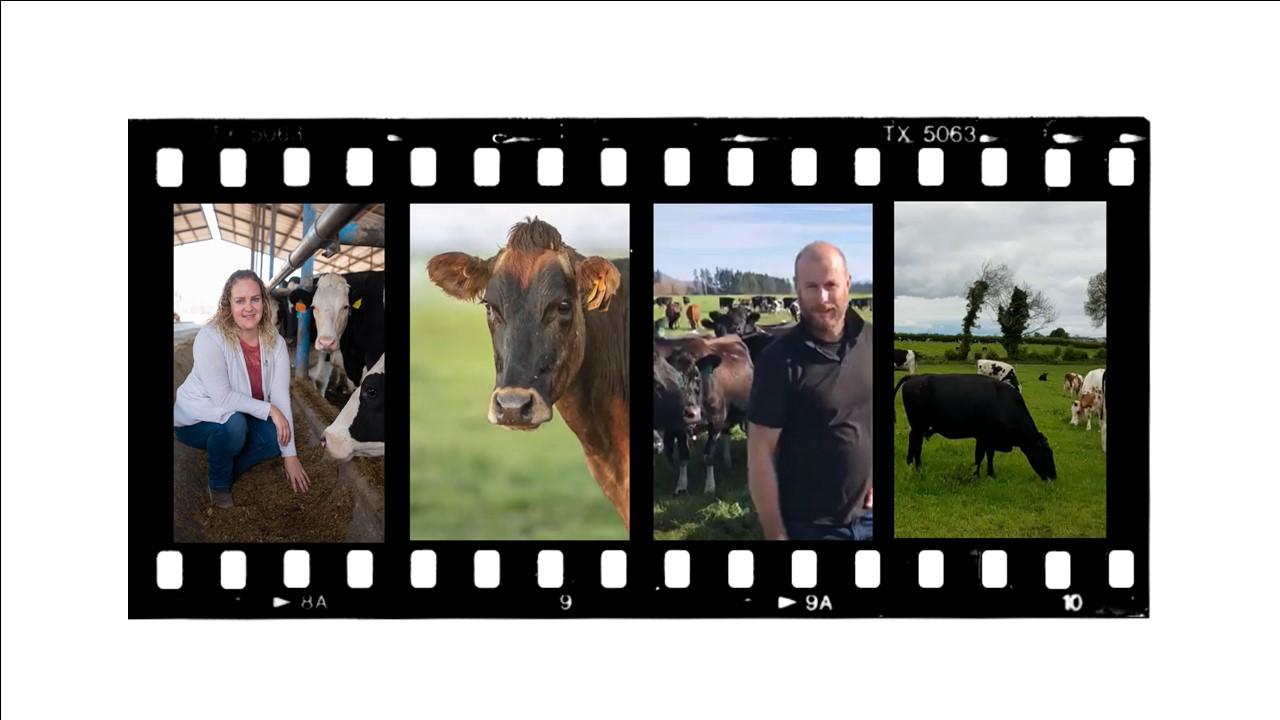 June is Dairy Month
