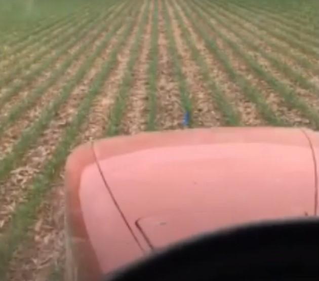USA Farm Tour-Corn