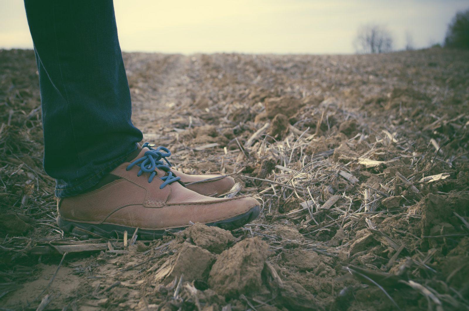 What's soil got to do with climate change?