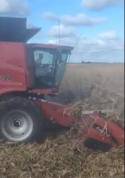 USA Farm Tour-Corn Harvest after Derecho