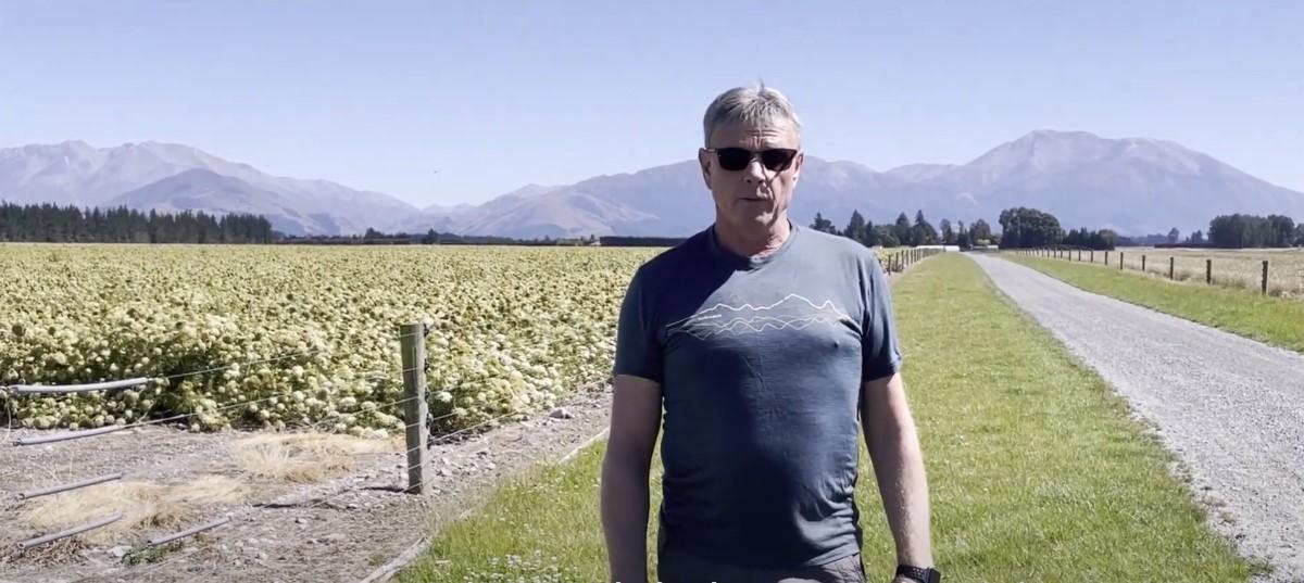 New Zealand Farm Tour-Carrot Seed