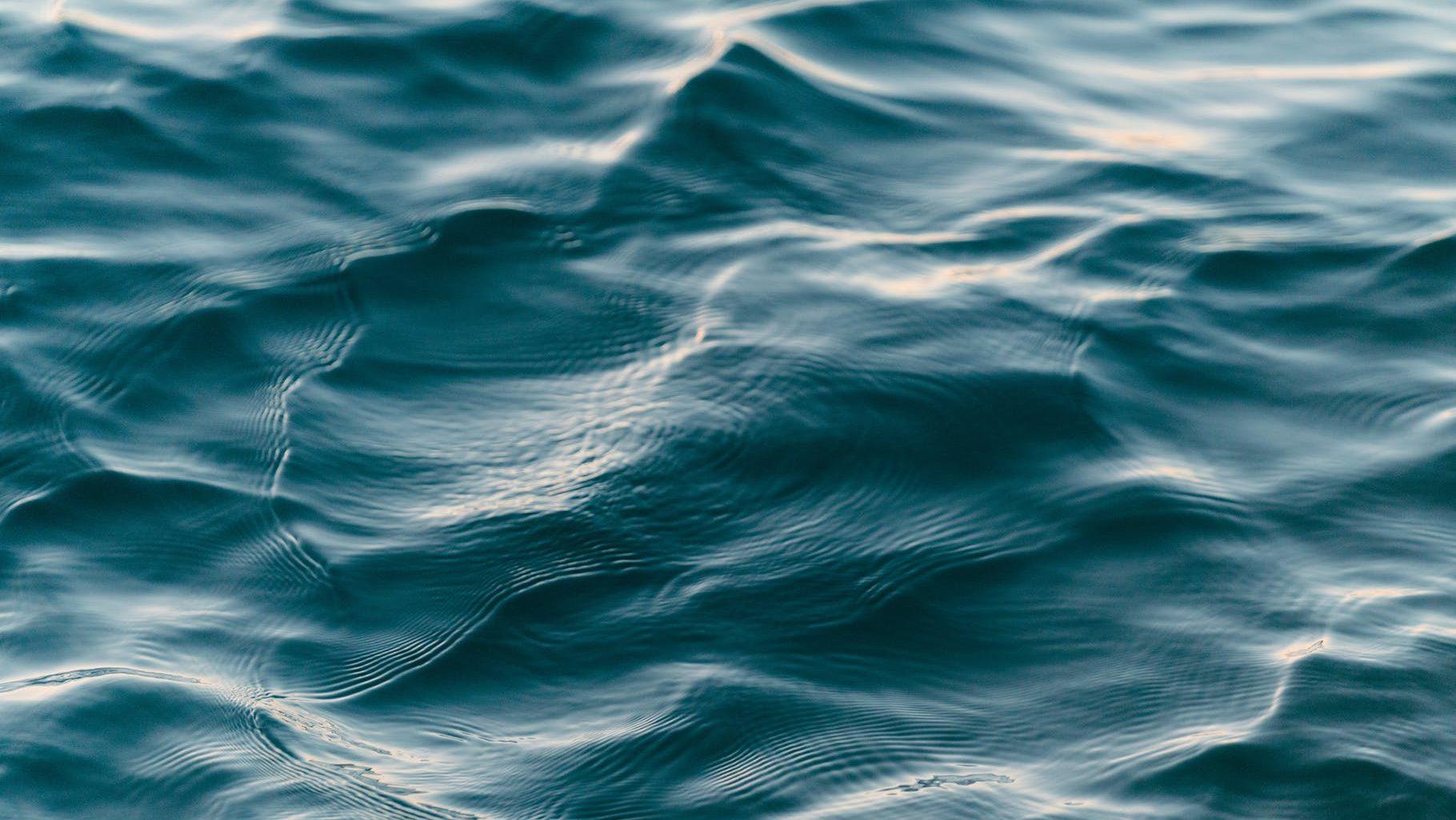 Good Water Management is One Way to Fight Food Inflation