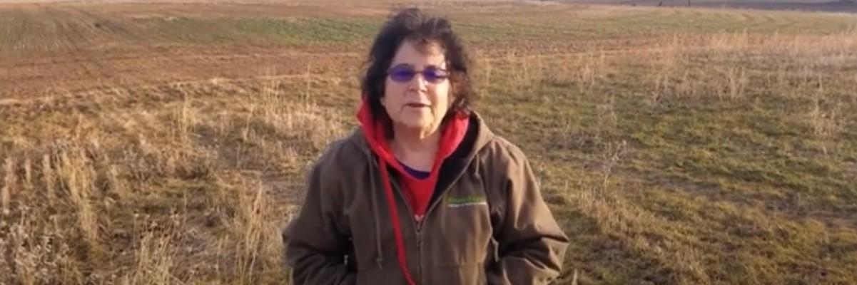 USA Farm Tour-Prairie Strips
