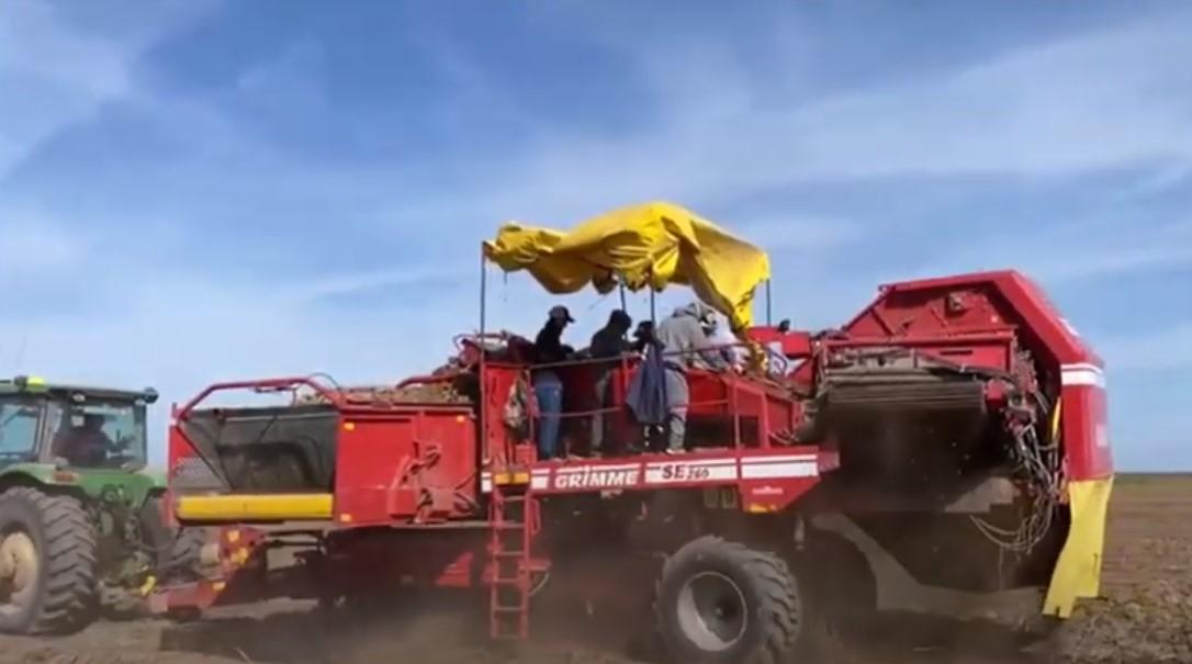 Argentina Farm Tour-Potato Harvest