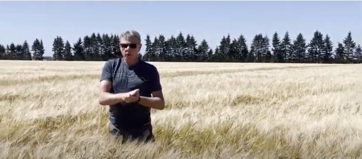 New Zealand-Crop Rotation