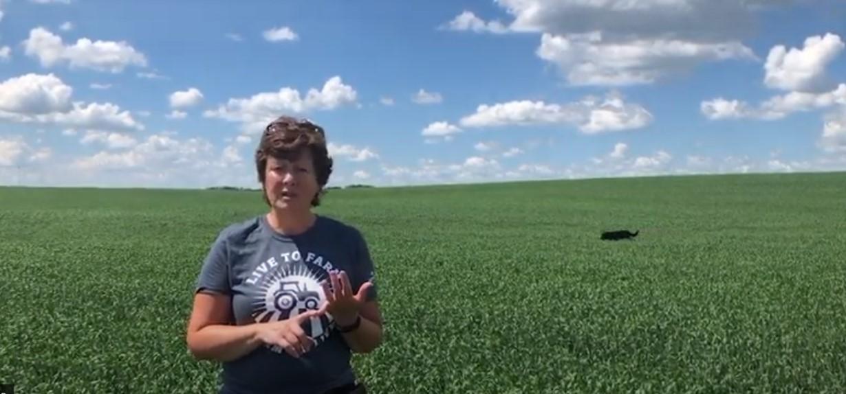 Canada-Growing Sustainably