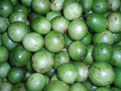 Q&A with small scale farmer
