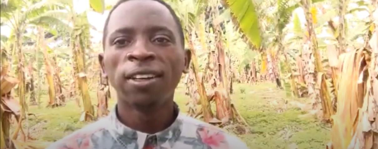 Rwanda-Banana Farming