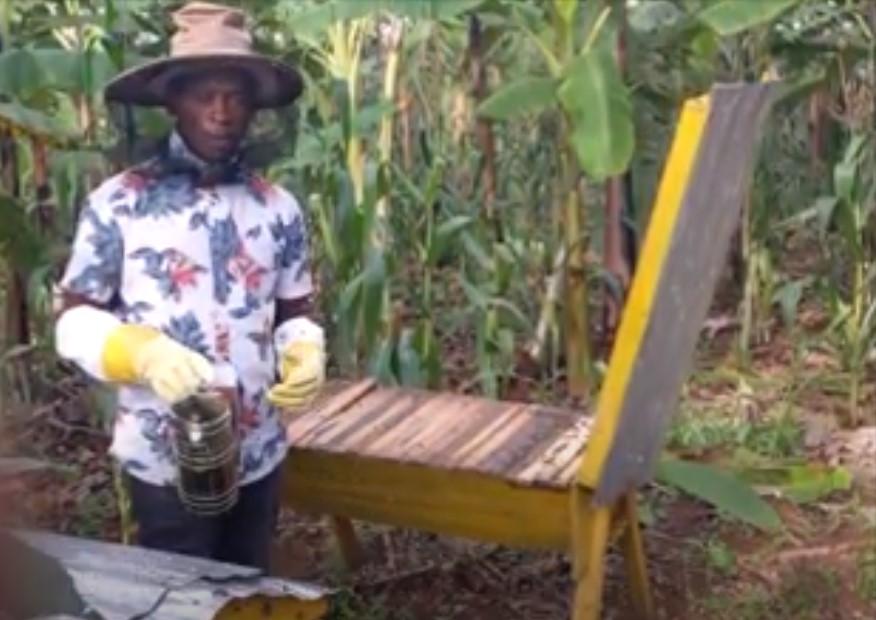 Rwanda-Beekeeping