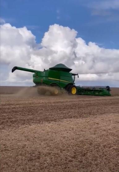 Brazil-Harvest and Planting