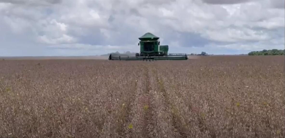 Brazil-Soybean Harvest