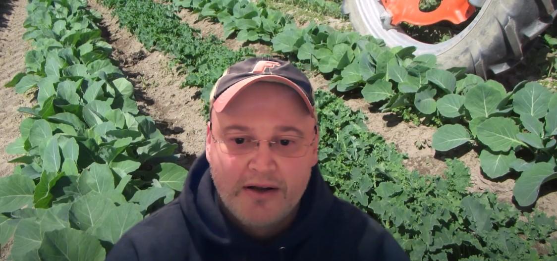 United States-Vegetables