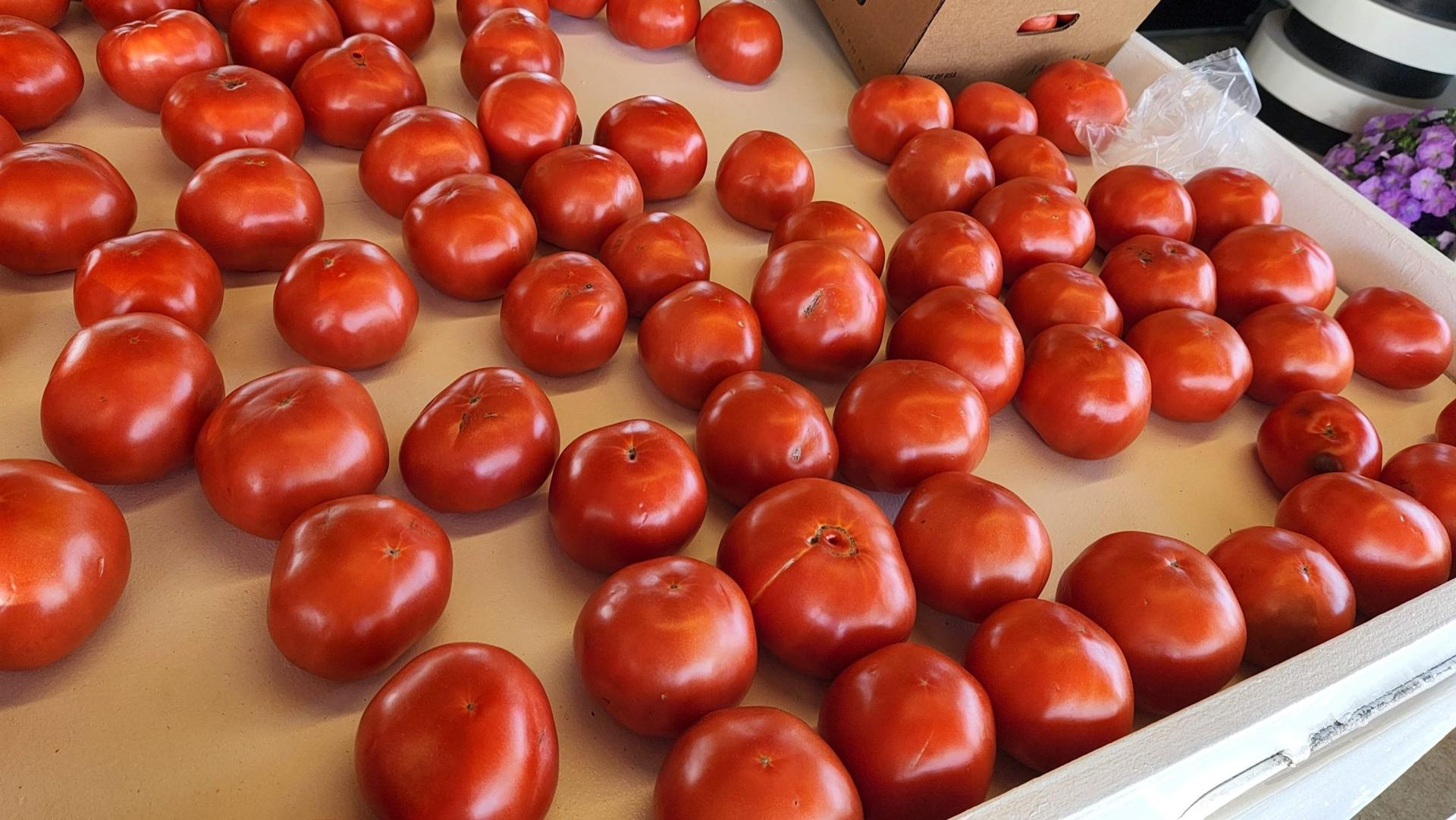 This Research Undercuts the ‘Emotional’ Argument on GMOs