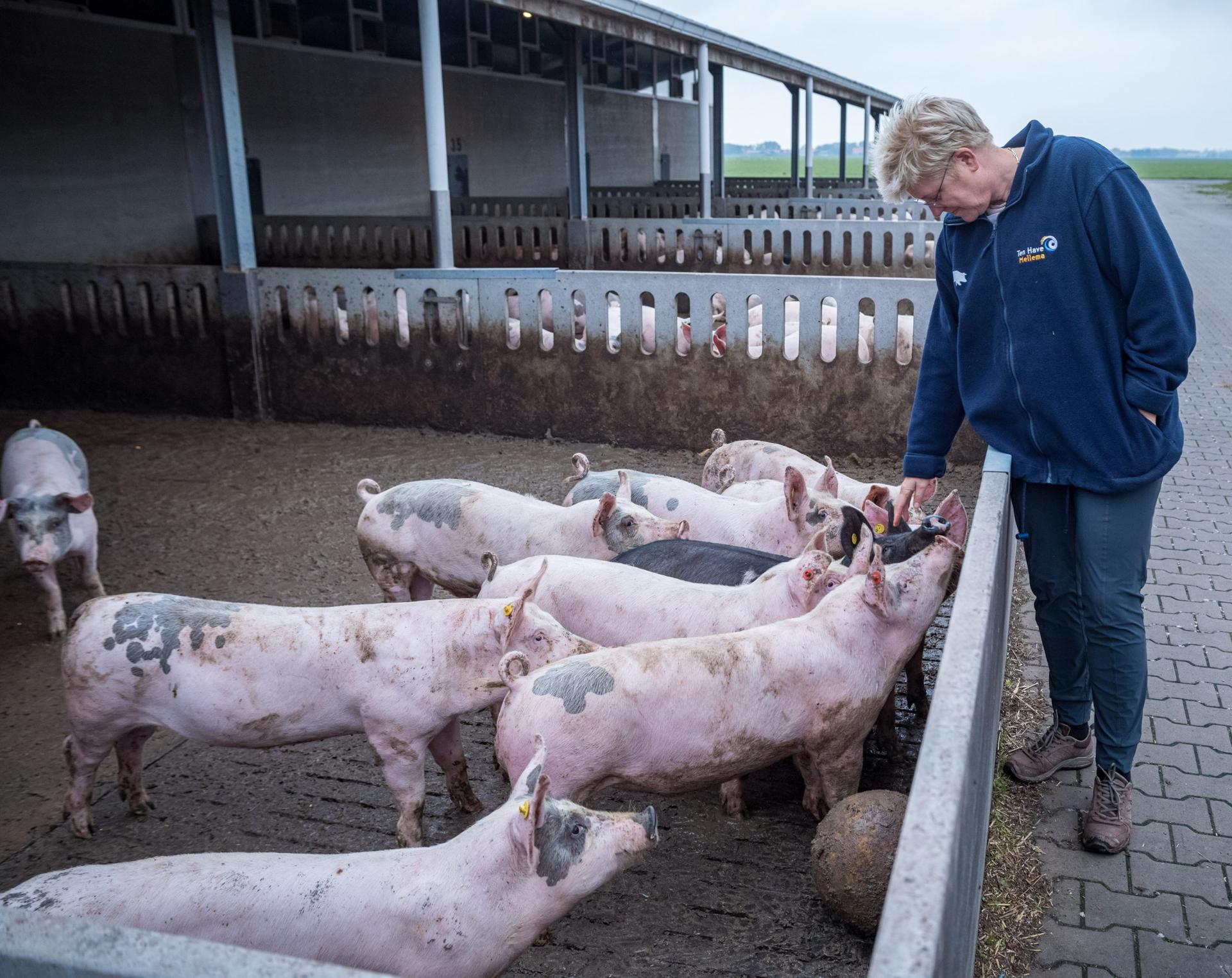 <strong>Effective Government Regulation Embraces Science and the Farmers Perspective</strong>