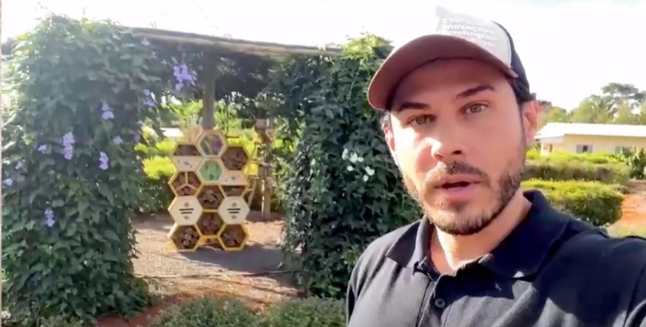 Brazil-Bee Pollinator Garden