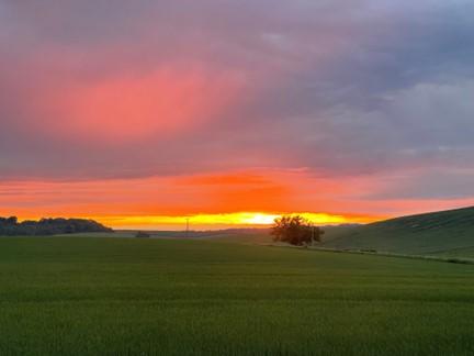 Sensible Ag Technology is Good for the Planet, Farms, and Consumers
