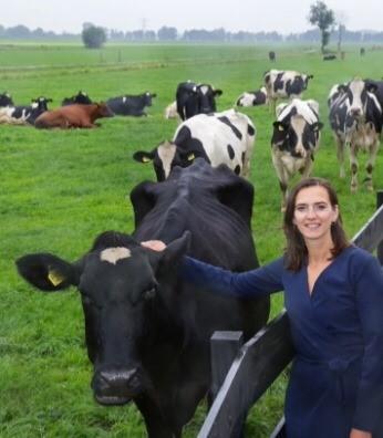 Judith De Vor