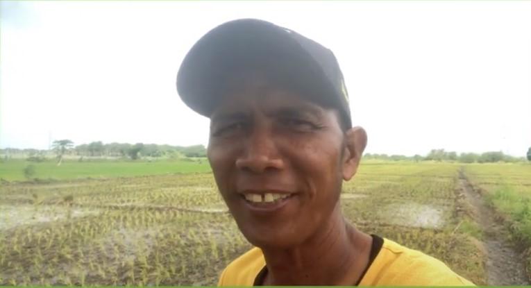 Philippines-Planting Rice