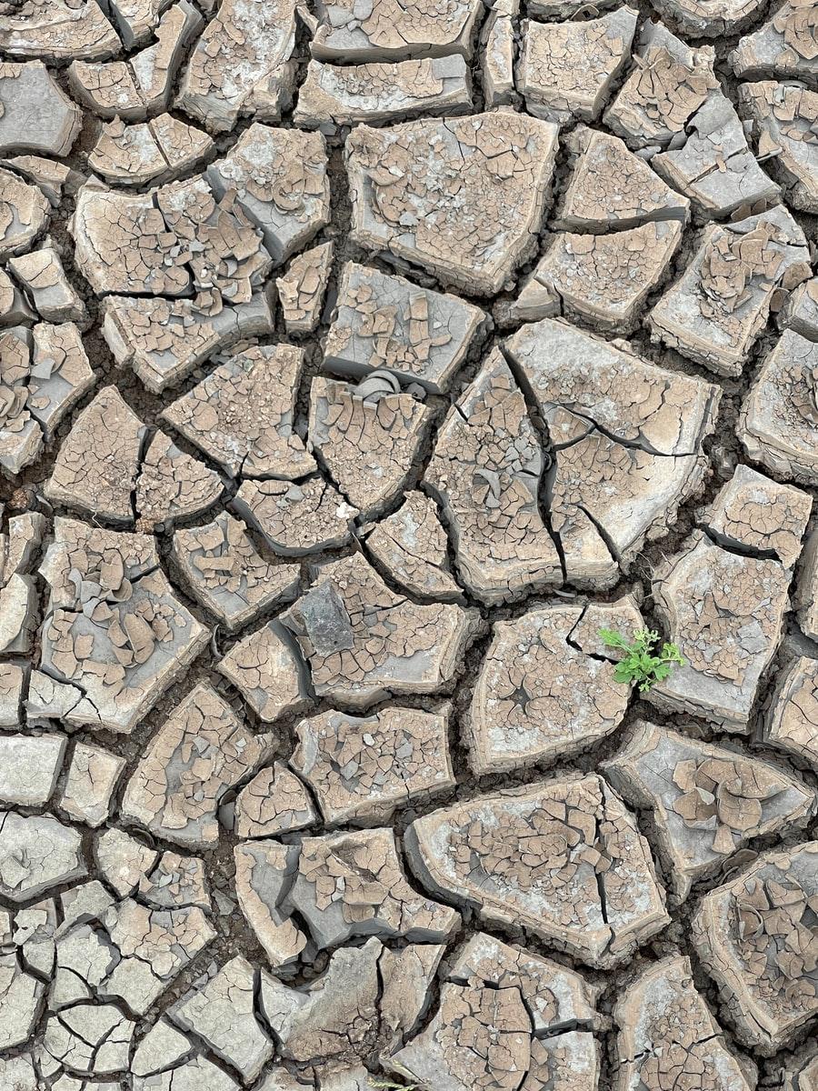 Brutal heatwave has farmers worried