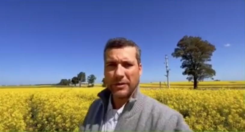 Uruguay-Growing Canola