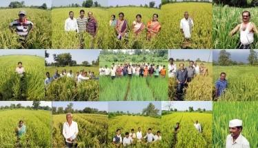 <strong>Regenerative Ag Boosts Biodiversity, Conservation, Sustainability and Farmer Dignity</strong>