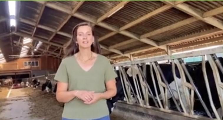 Netherlands-Dairy Farming