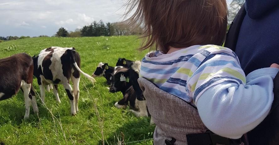 Balancing Act: The Challenges of Being a Full-Time Worker, Farm Helper, and Mom