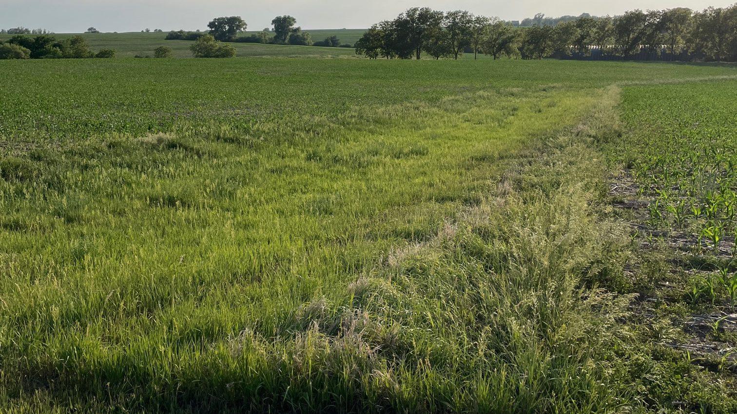 Recognizing the Continual Improvement of Water Quality