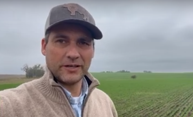 Uruguay-Replanting with Barley