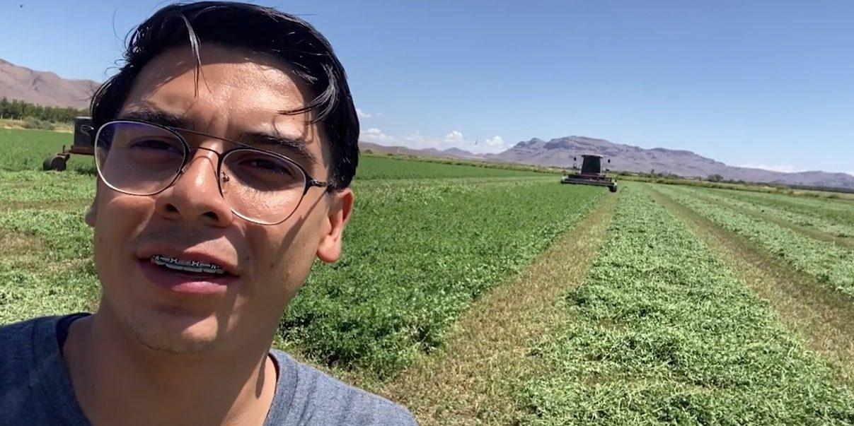 Mexico-Alfalfa Harvest
