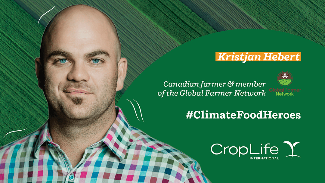 Shaping Financially Sustainable Ag Policy