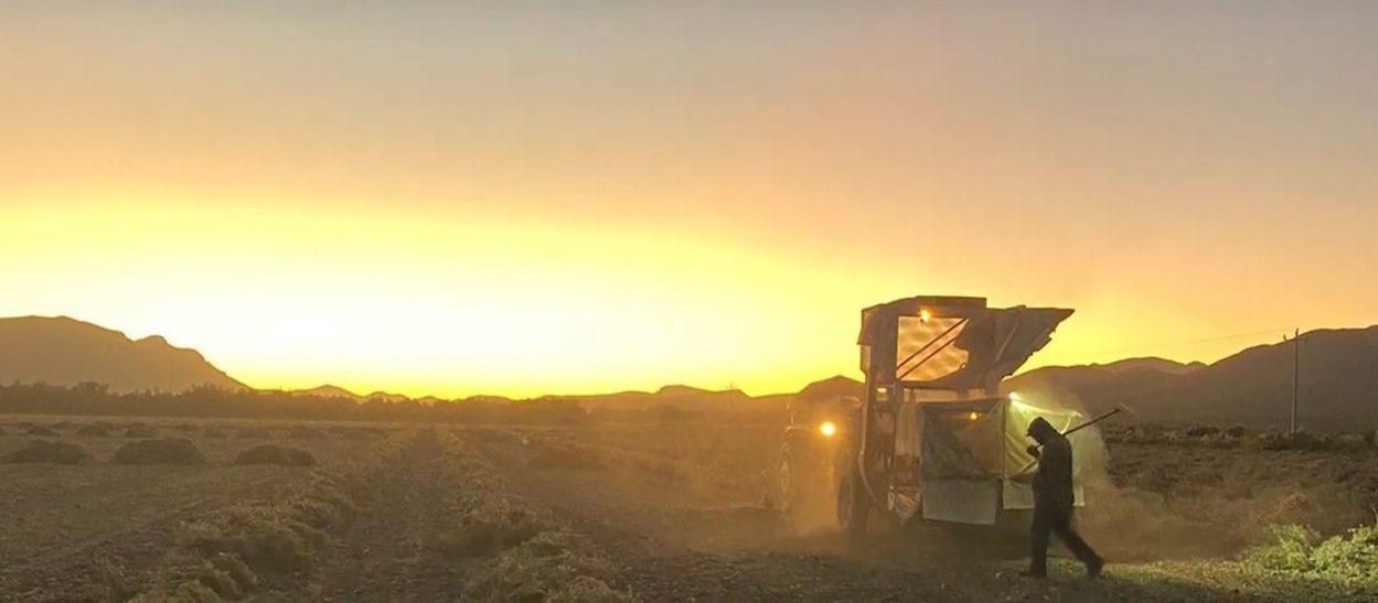 Jose Luis Quintana: The Importance of Biotechnology in Agriculture, Part 3