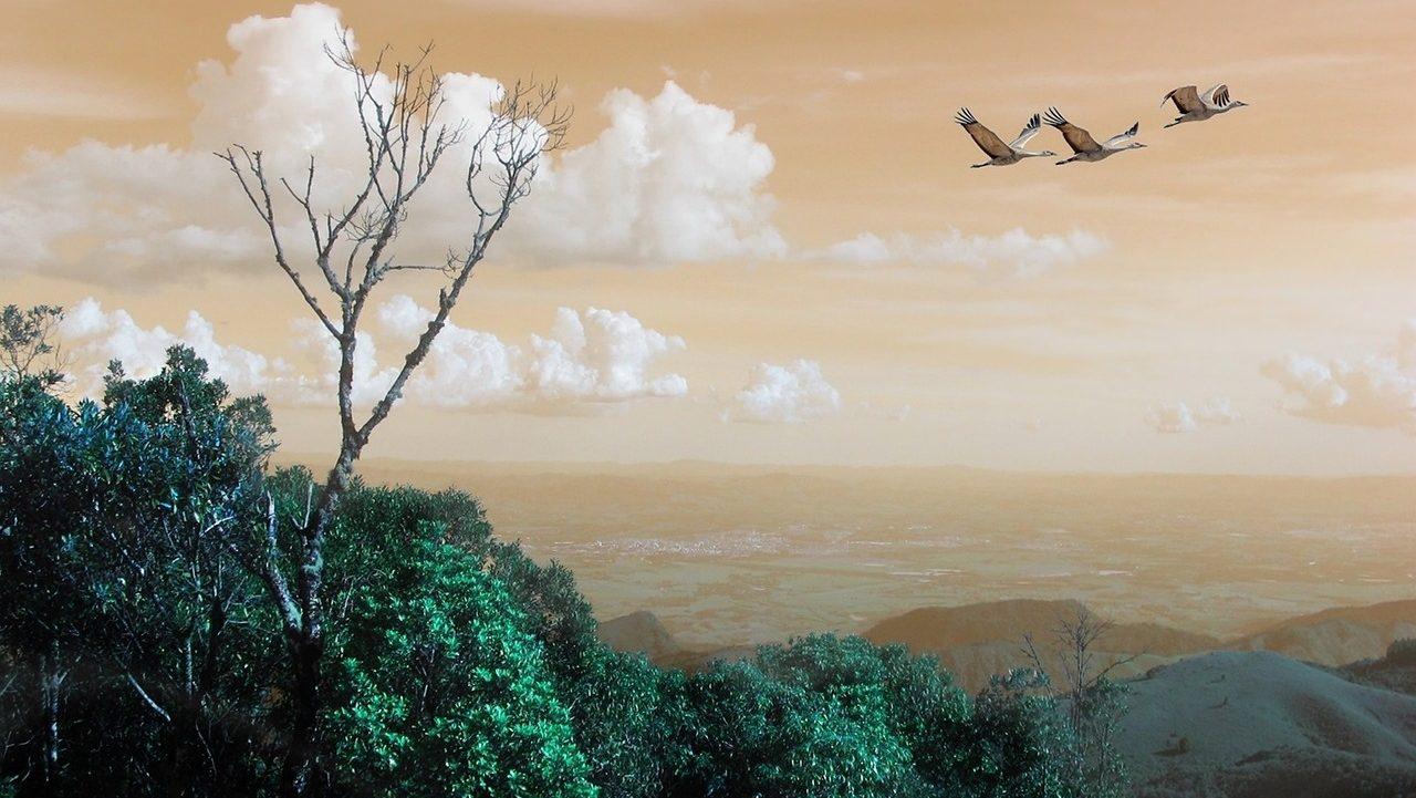 A Brazilian Farm Success Story Protecting the Forest