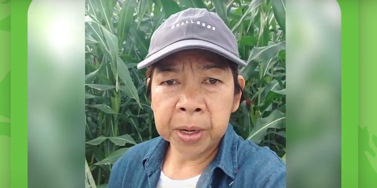 Philippines-Corn