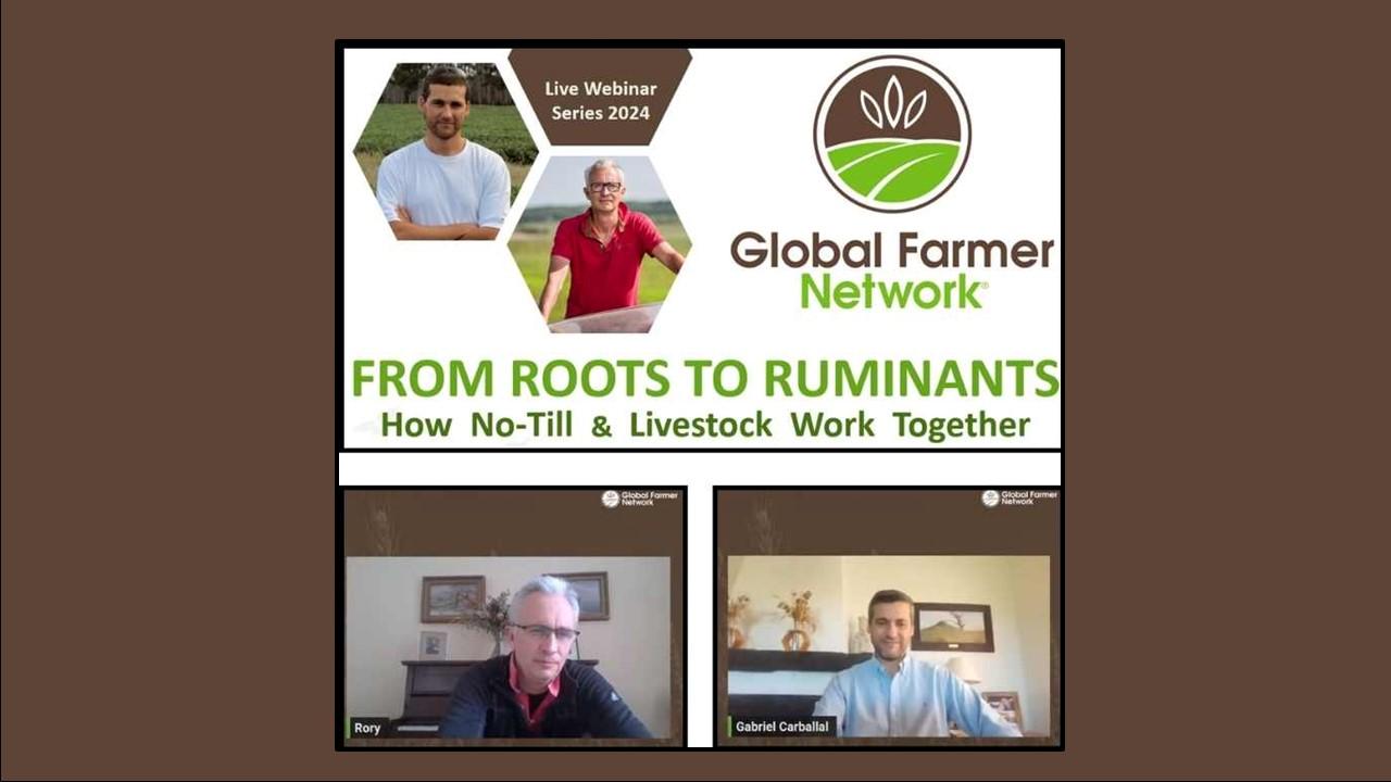 Global Farmer Network webinar series 2024 - No-till and Livestock