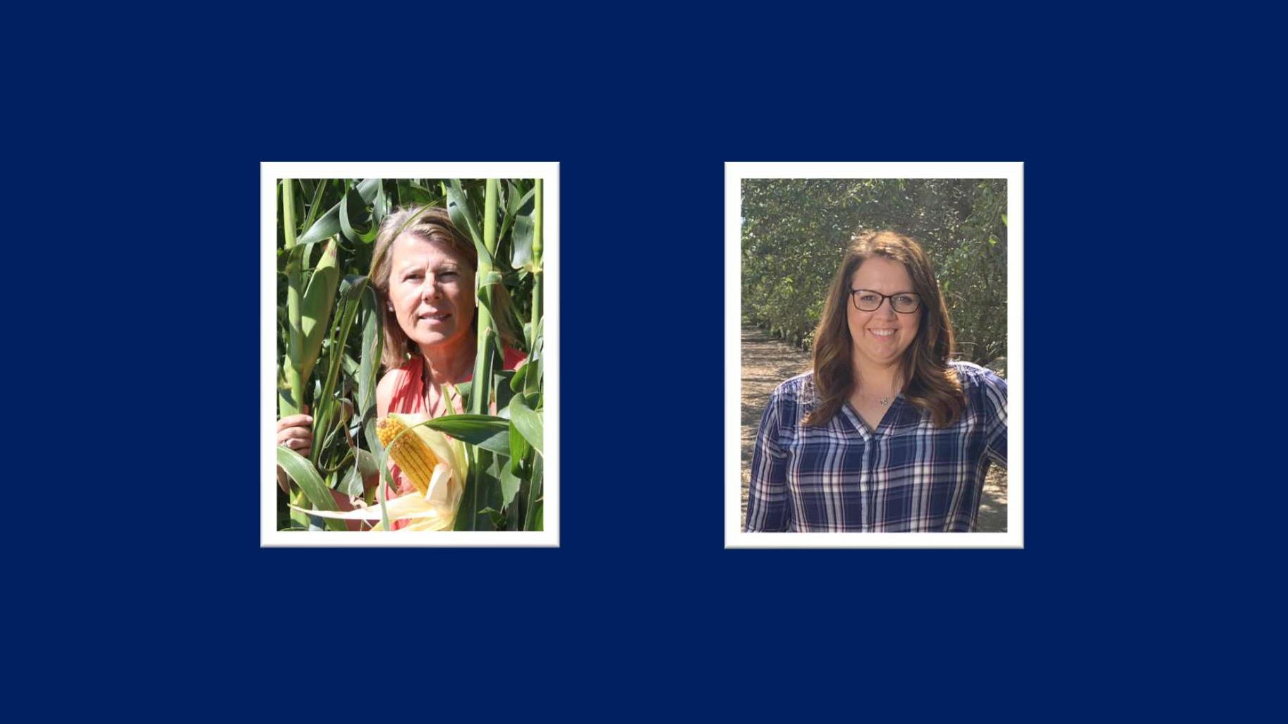 Global Farmer Network webinar series 2024 - Water part 2