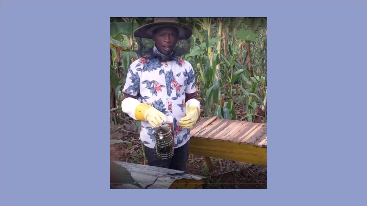 How Bees and Farmers Can Harness the Wonder of Pollination for Sustainable Food Security