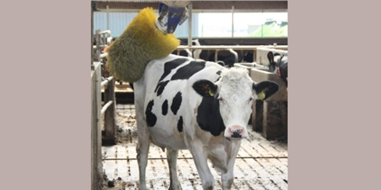 Producing Milk in Harmony with Nature