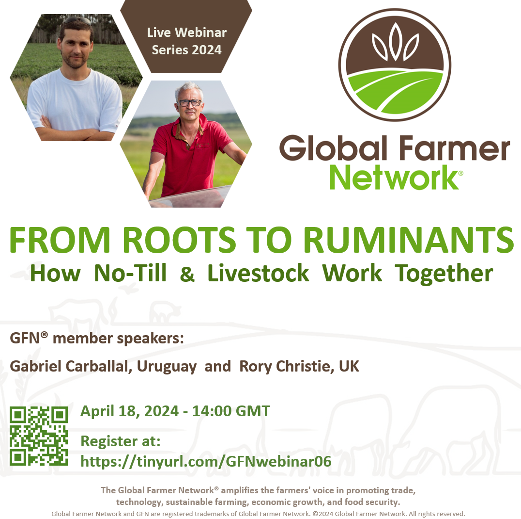 From Roots to Ruminants, how no-till and livestock work together