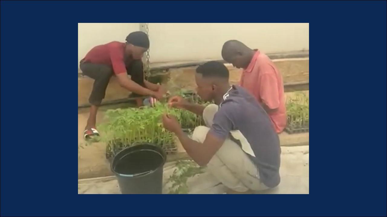 Mali-Greenhouse Technology