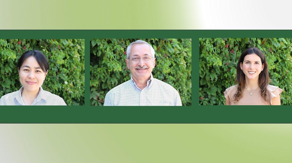Farmer Interviews: Different Technology Used Around The World